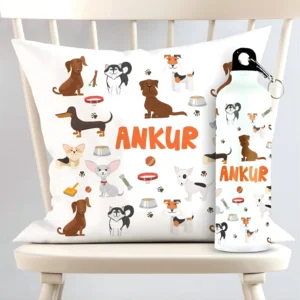 Personalized Dinosaur Square Cushion And Metal Bottle Combo